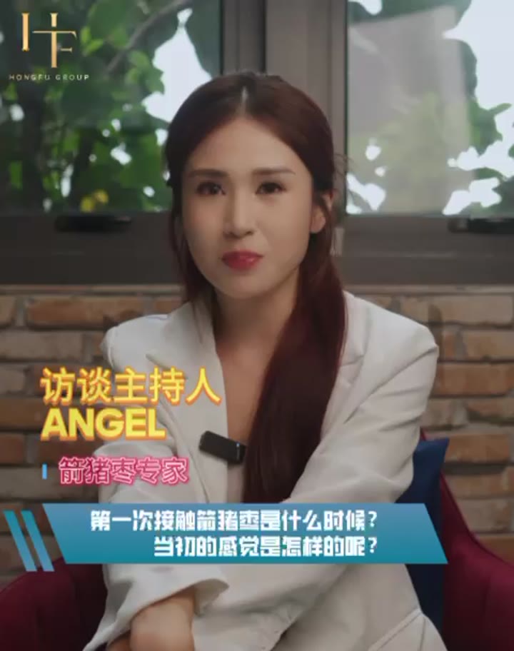 箭猪枣很难卖？打破迷思